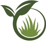 Thistle Elimination Pros