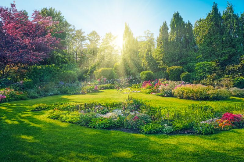 Landscape Planning Service in Ventura County, CA