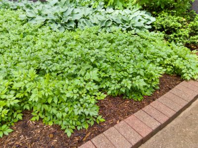 Brick Hardscaping in Danbury, CT